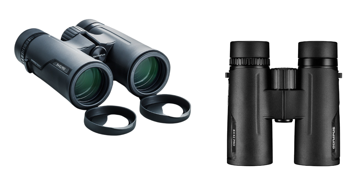 Olympus 8х42 PRO binoculars for whale watching