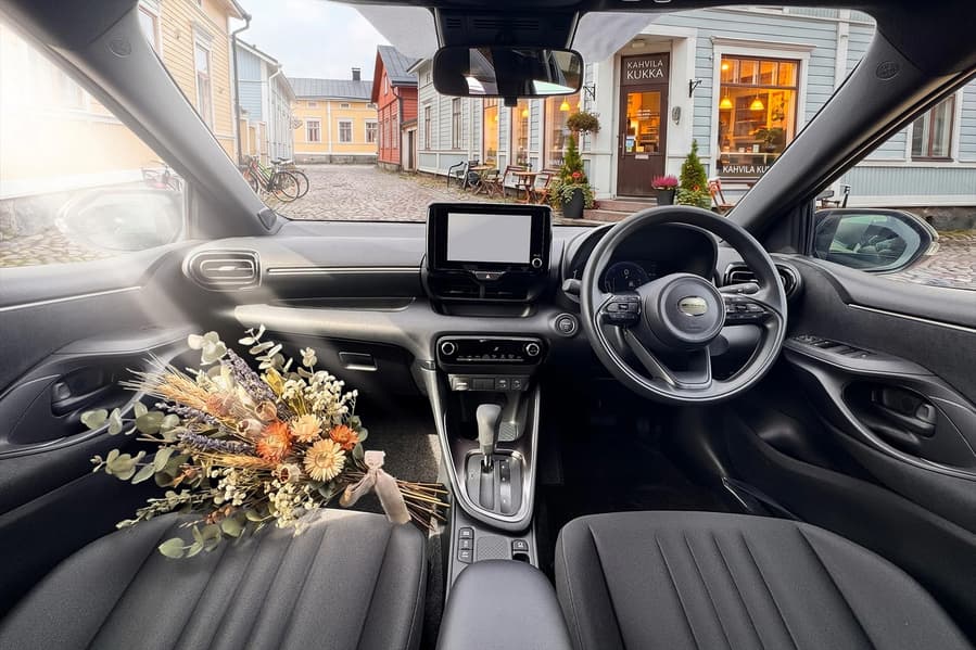 Задняя часть Mitsuoka Viewt Story