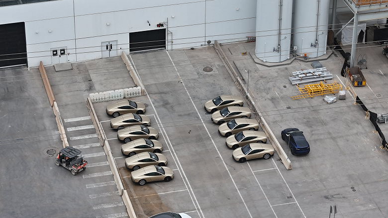 Tesla Cybercab и Model Y на дороге