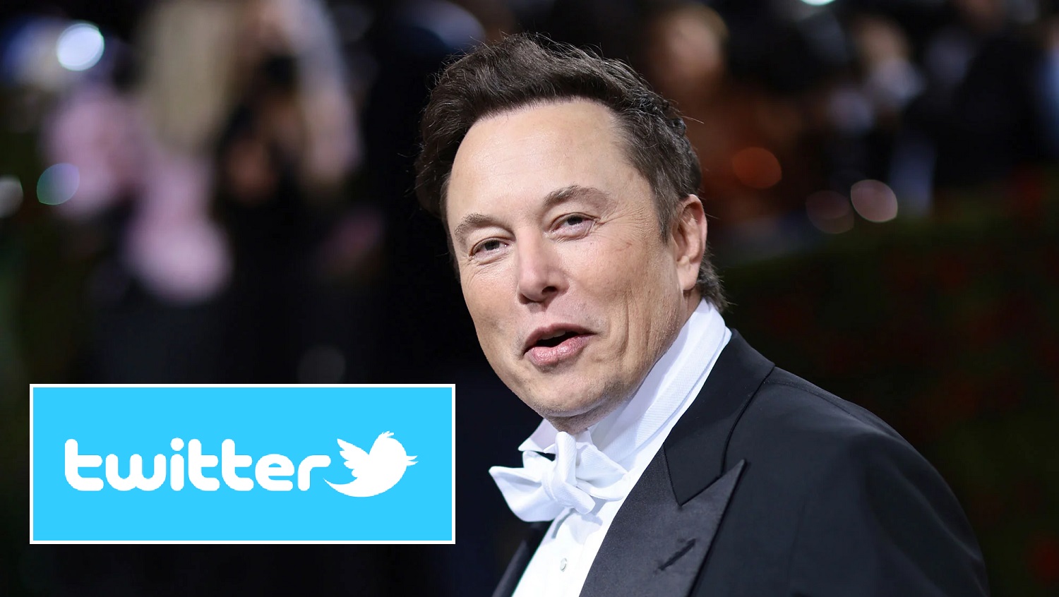 Илон Маск знову хоче придбати Twitter за $44 млрд - акції компанії злетіли на понад 20%