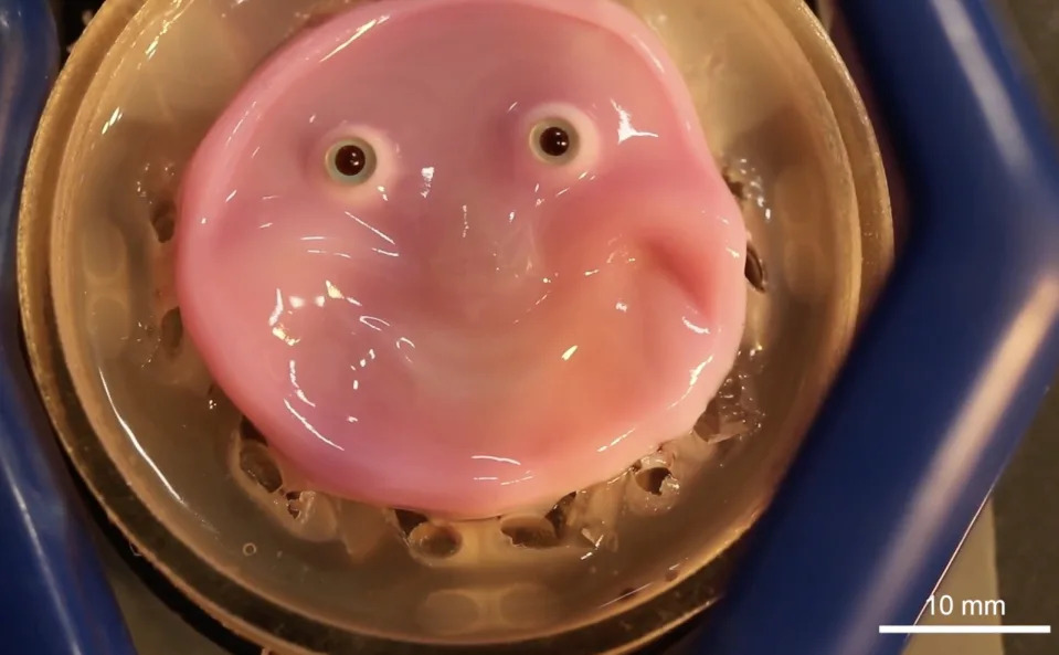 Scientists have created realistic skin for robots that mimics human emotions (video)