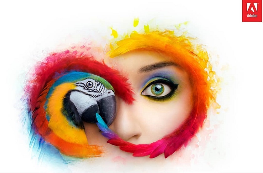 Adobe повысит цену на план Lightroom и Photoshop в два раза