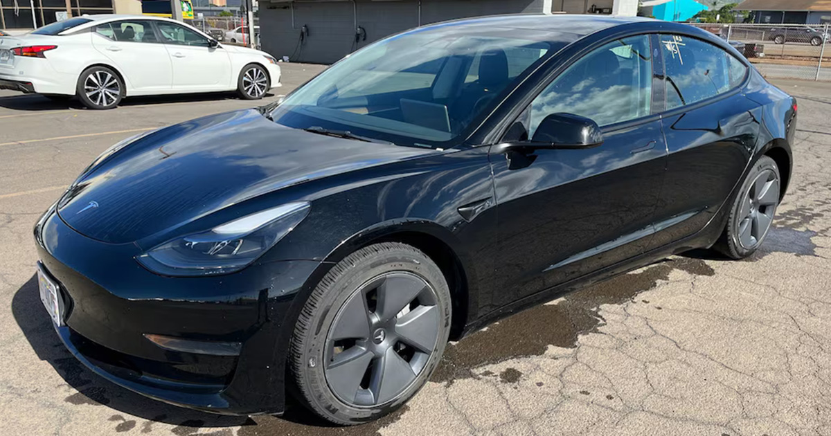 Tesla Model 3 in the Hertz fleet: New horizons for carsharing