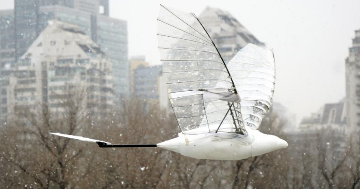 A Chinese drone bird set a world record for the longest flight time - it spent more than 1.5 hours in the air