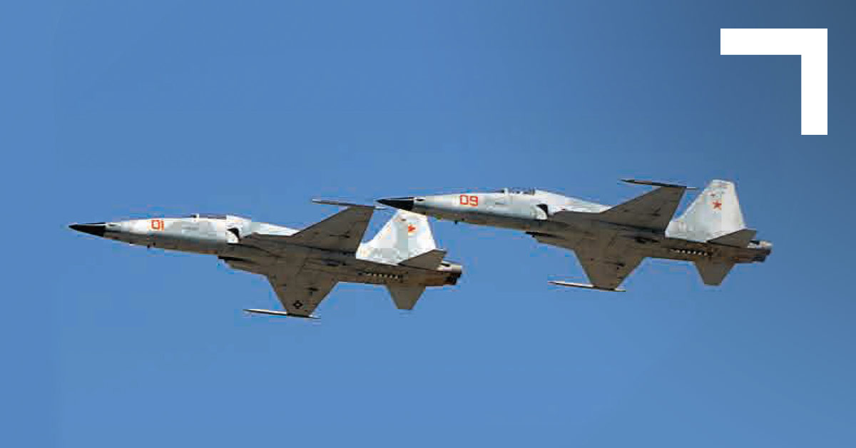 Northrop F-5 Tiger fighter crashed in Turkey after colliding with a bird