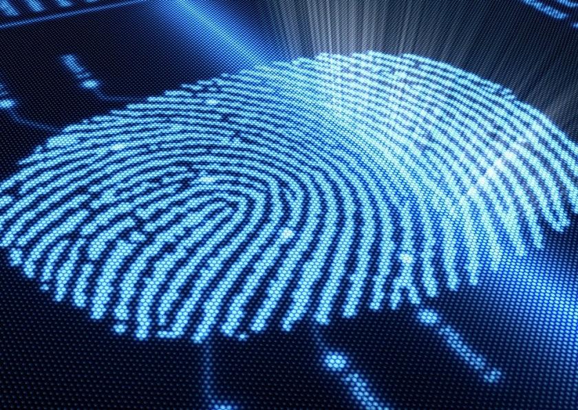 Для авторизации в Google Passwords теперь достаточно отпечатка пальца