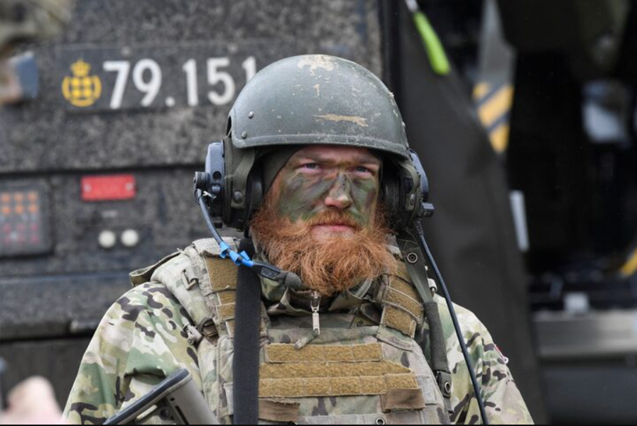 Update on Danish defence strategies: what's new?