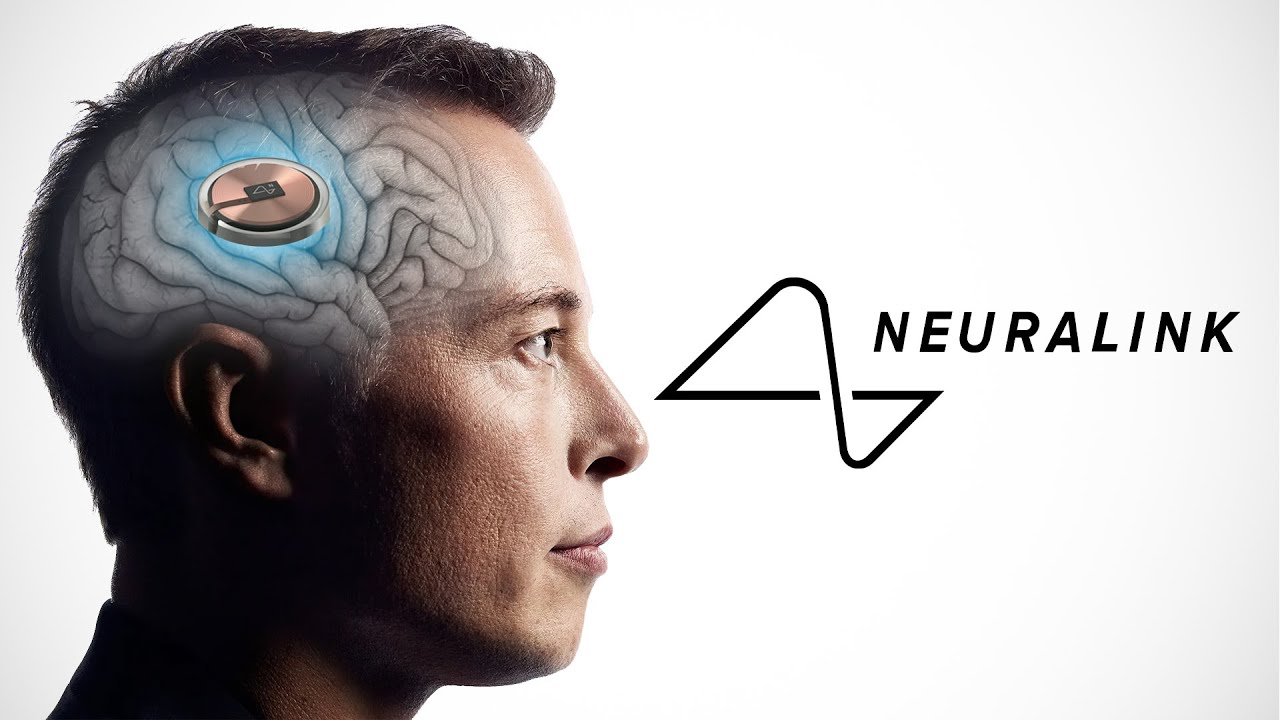 Жодна мавпа не загинула - Маск заявив про безпеку мозкових імплантів Neuralink