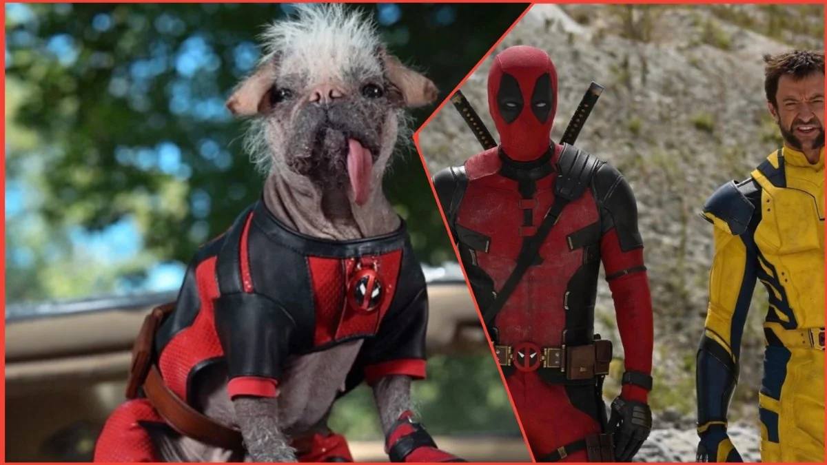 Let the Dogs Go: Ryan Reynolds announces the summer release of Deadpool 3 and introduces the new furry hero Dogpool
