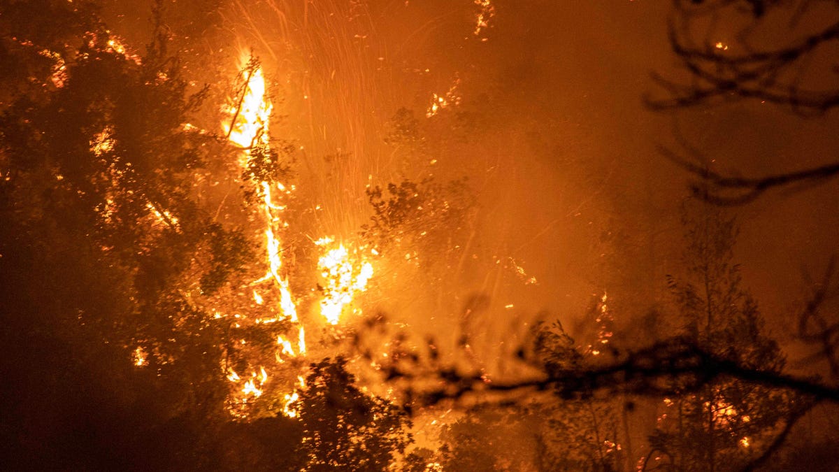 Wildfires Are Fueling a Dangerous Feedback Loop of Arctic Warming
