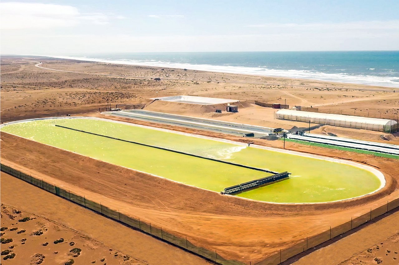 Le plus grand bassin de croissance d'algues au monde utilise une technologie basée sur la nature pour capturer les émissions de CO2