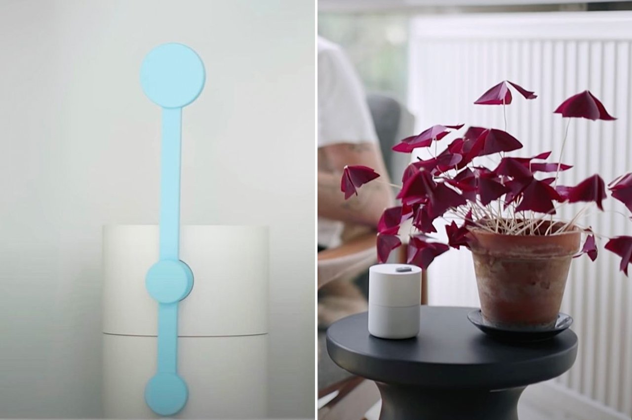 Google’s Little Signals devices will deliver notifications in a subtle way using our plants