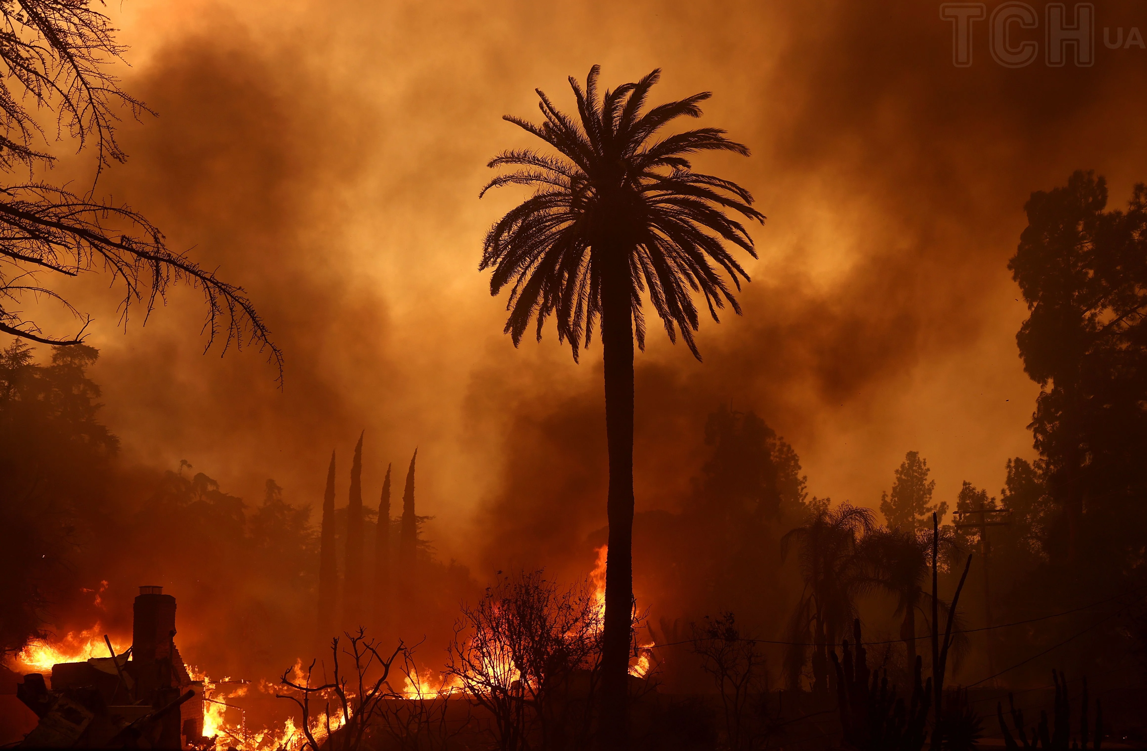 Feu de forêt à Los Angeles