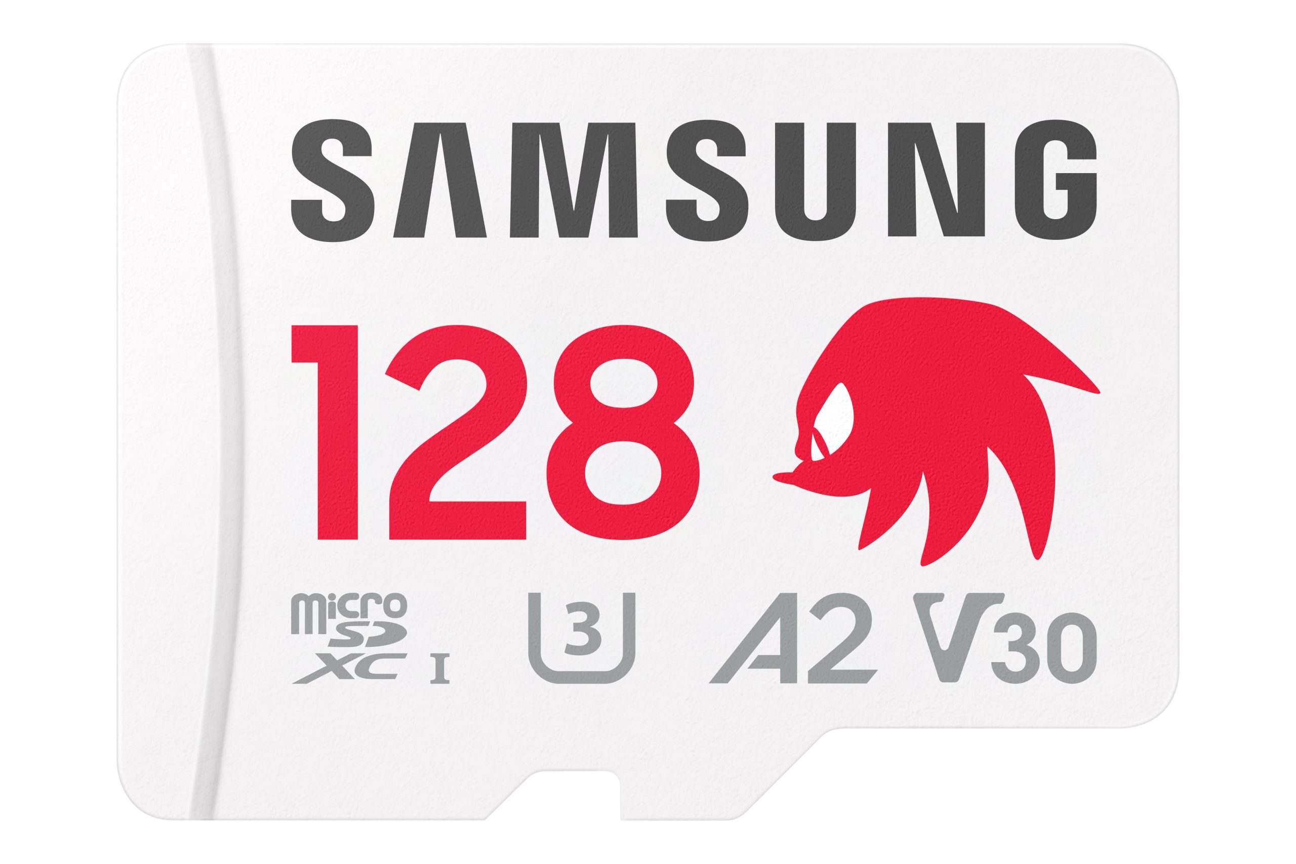 Carte mémoire Sonic the Hedgehog PRO Plus avec Knuckles