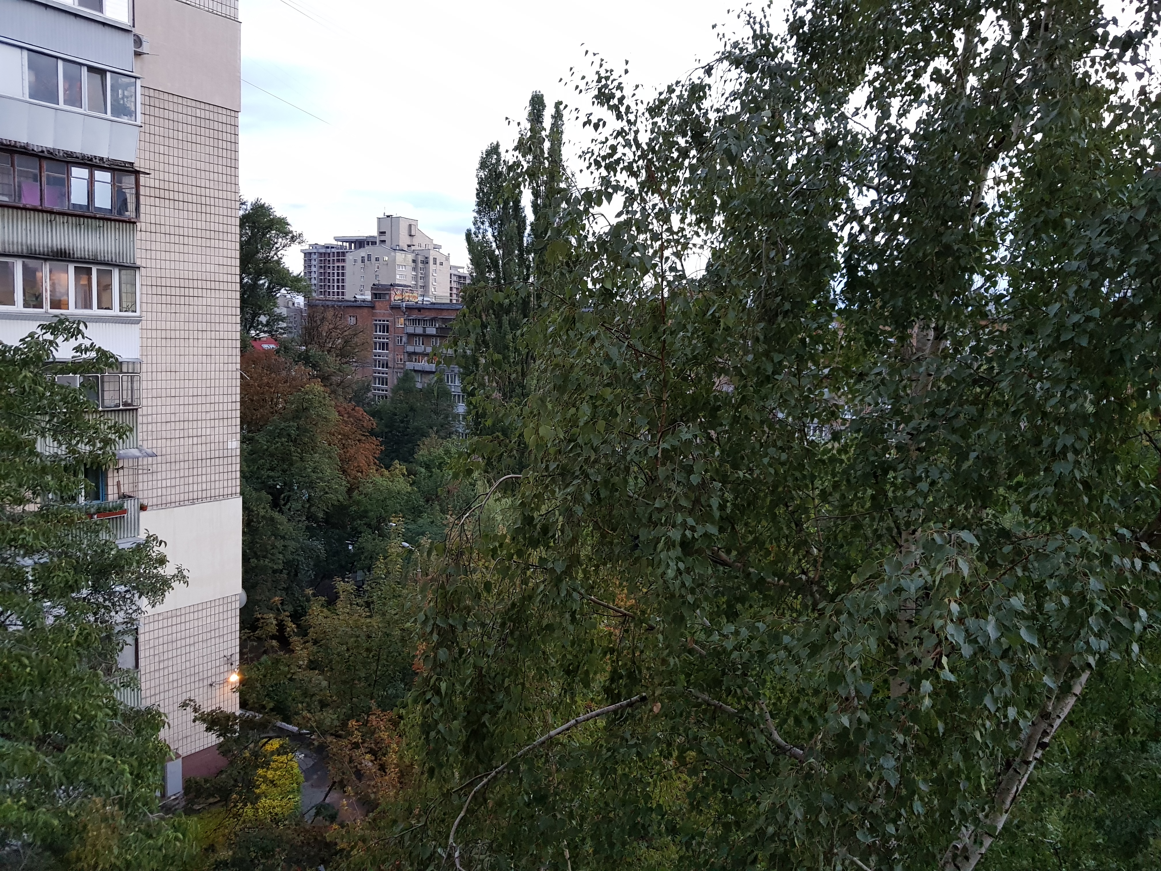 20170823_200642.jpg