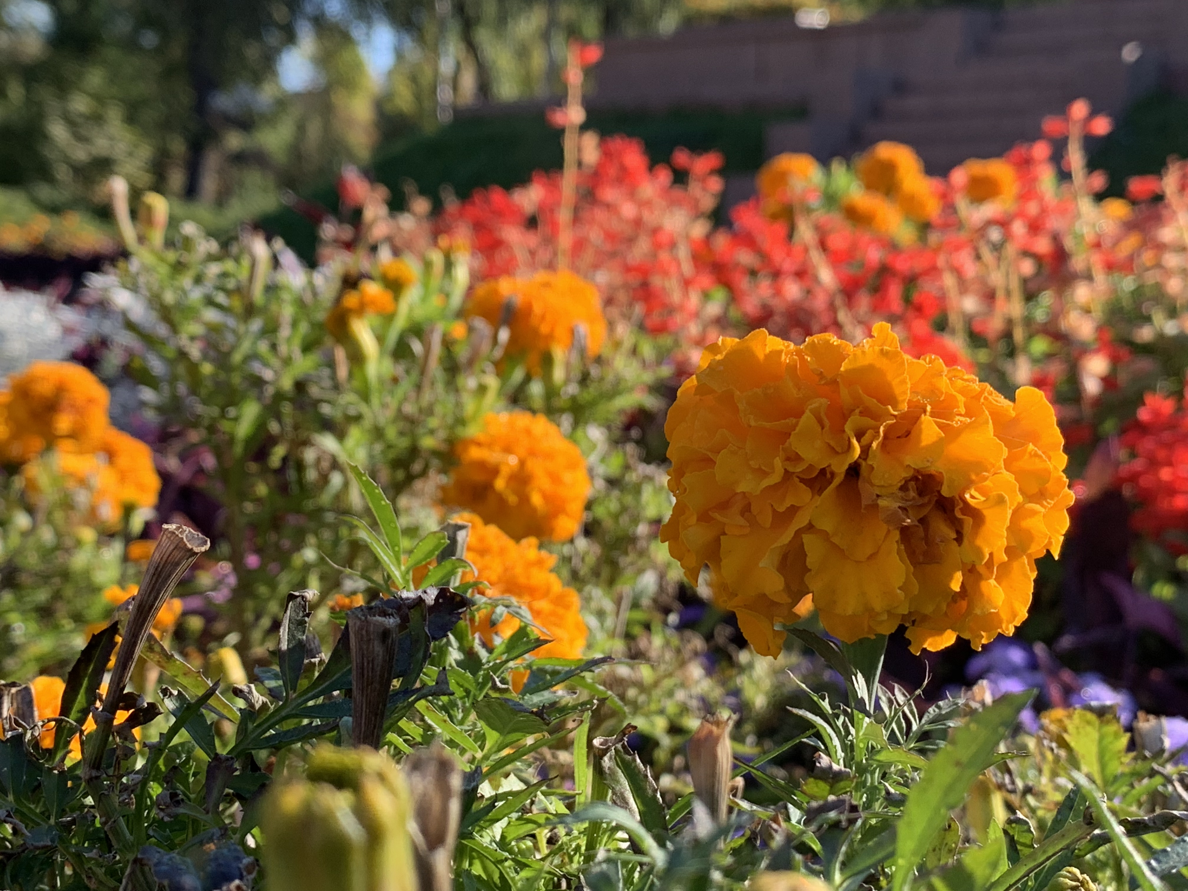 2018-10-01 09.23.08.jpg