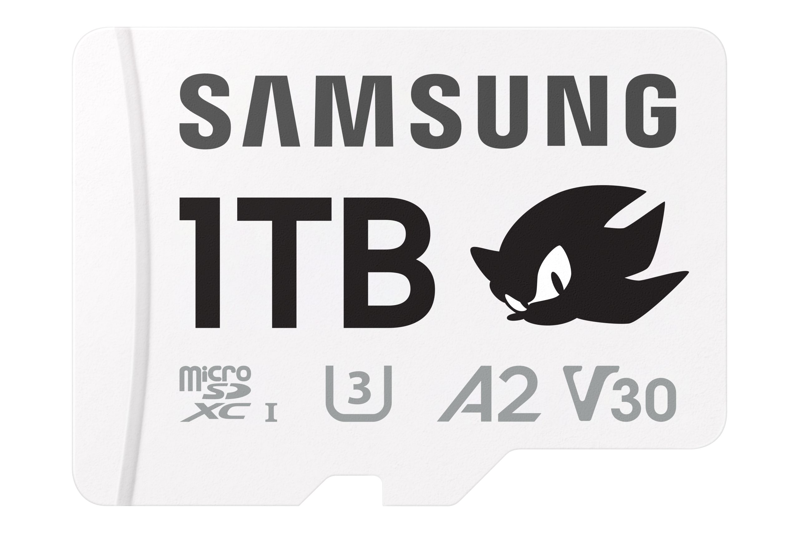 Carte mémoire PRO Plus Sonic the Hedgehog avec Shadow