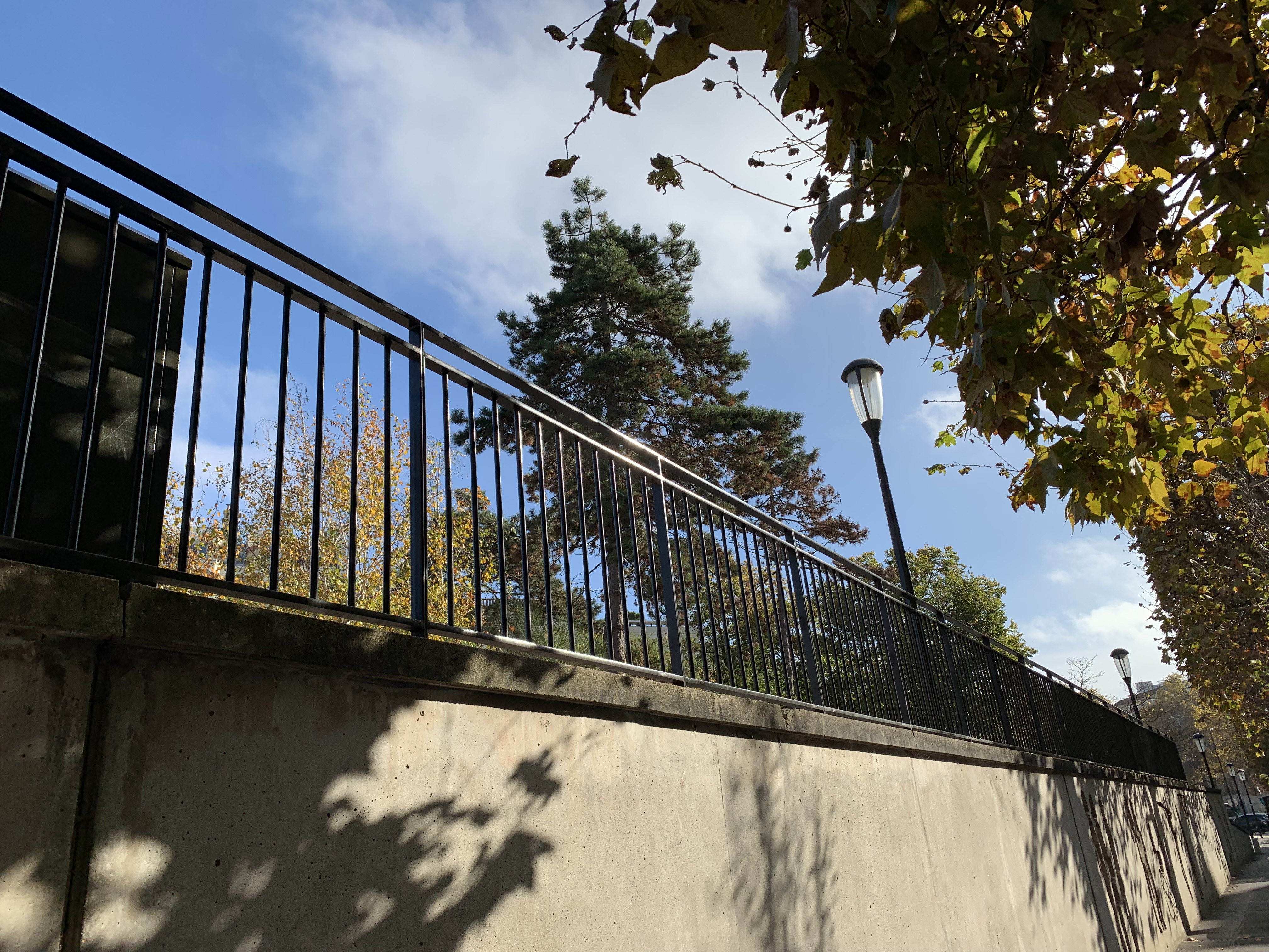 BacklitGuardrail_AppleiPhoneXr_DxOMark_05-00.jpg