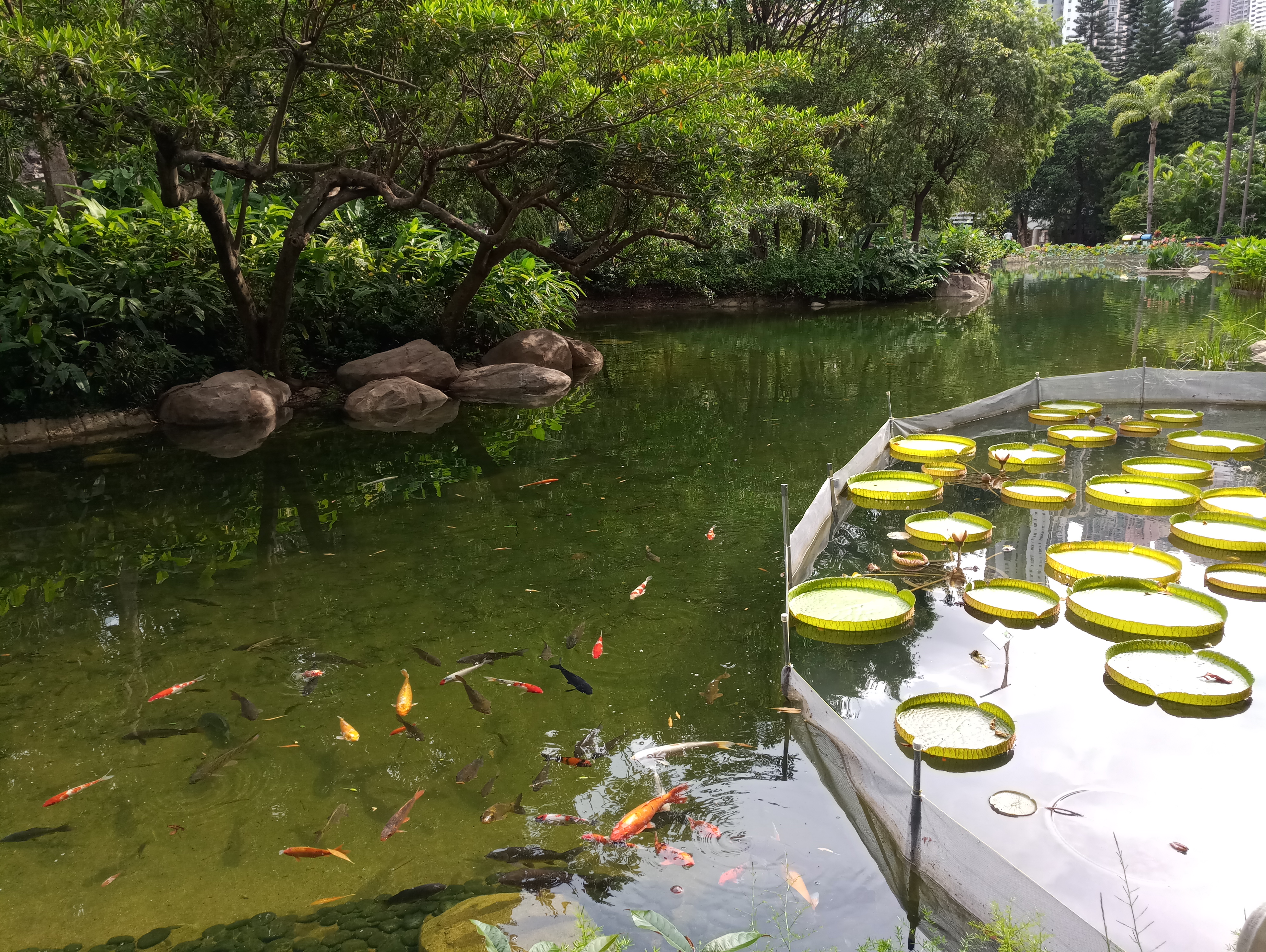 P70727-162407.jpg