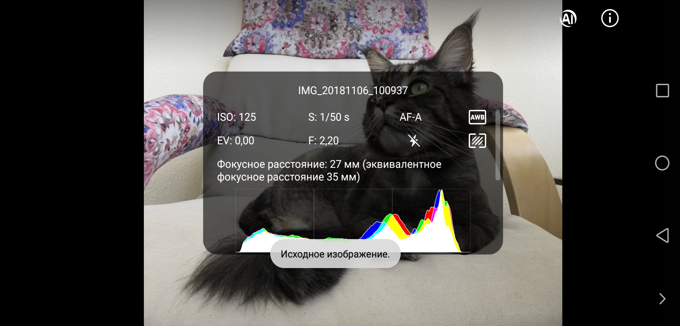 Screenshot_20181121-193652.jpg