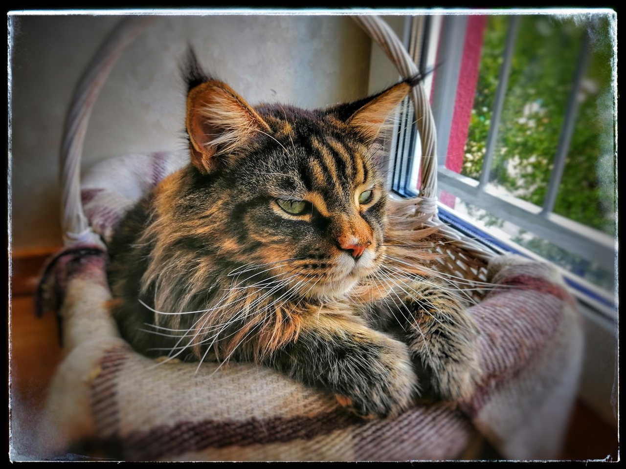 Snapseed_06.jpg