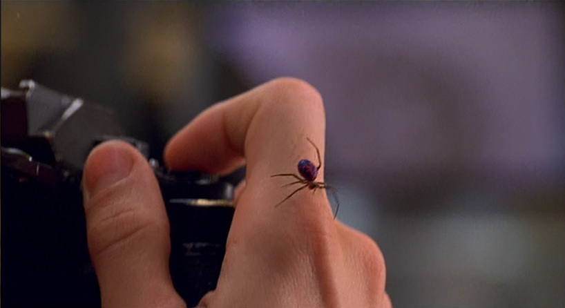 The_Spider_Bitting_Peter.png