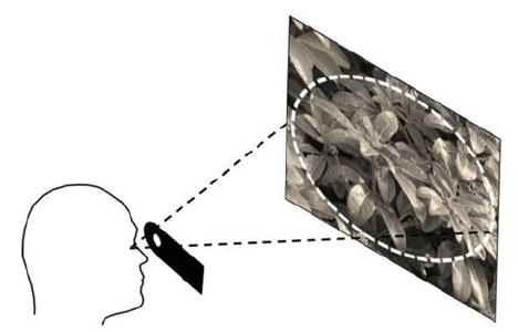 what is binocular pupil distance