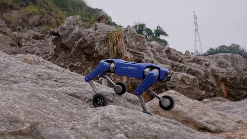 Близький кадр Rover X1