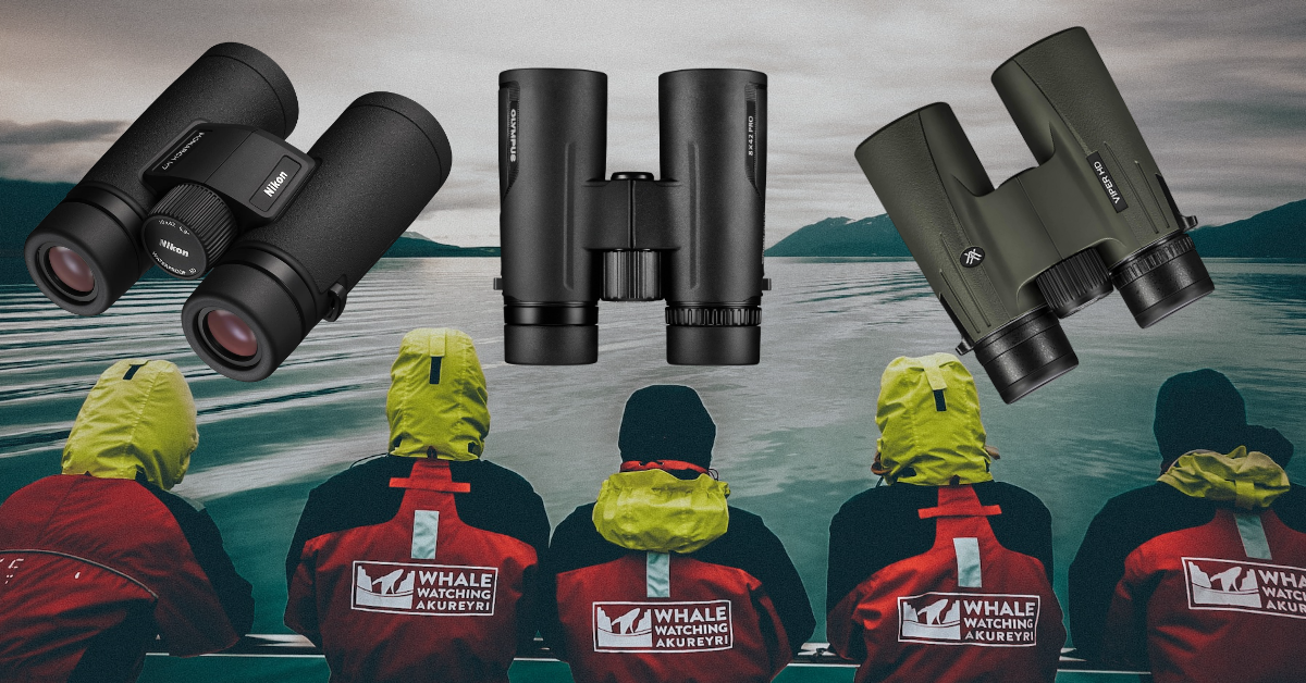 best whale watching binoculars
