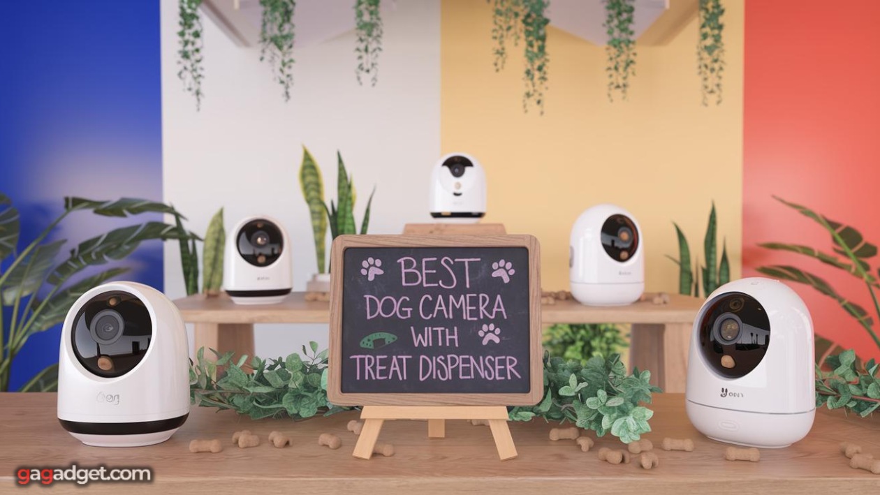 best dog camera treat dispenser 2026