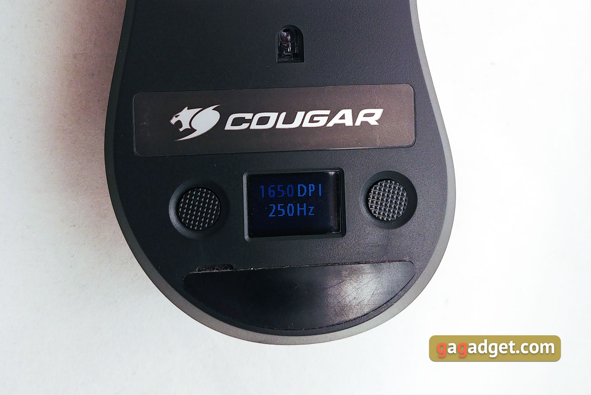 cougar-surpassion-20.jpg