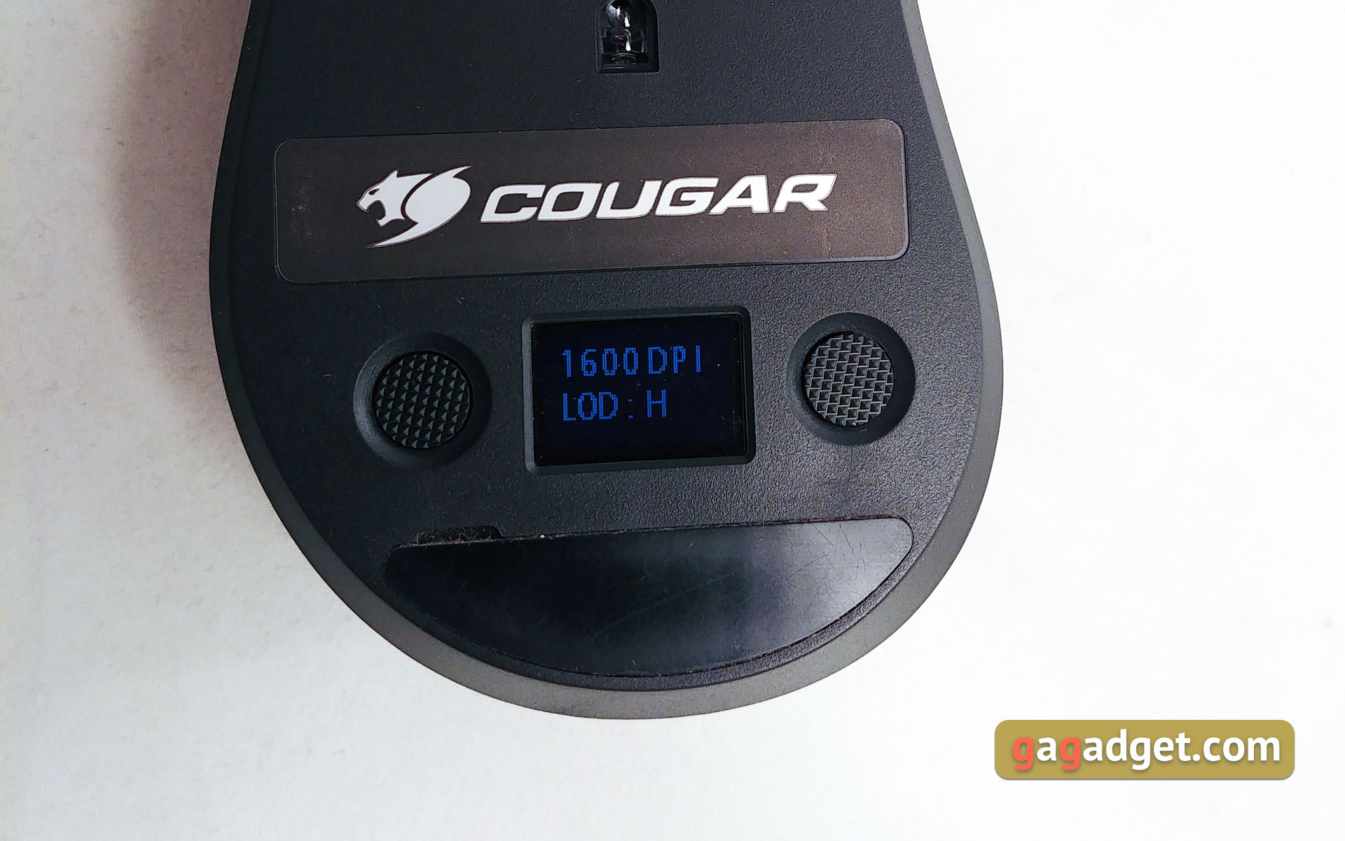 cougar-surpassion-22.jpg