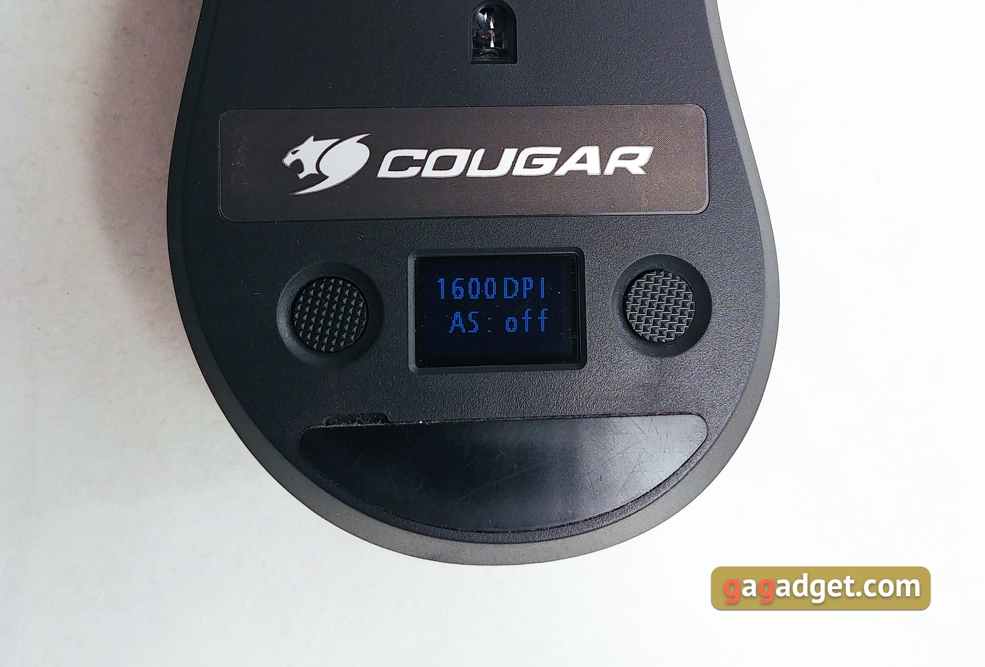 cougar-surpassion-23.jpg