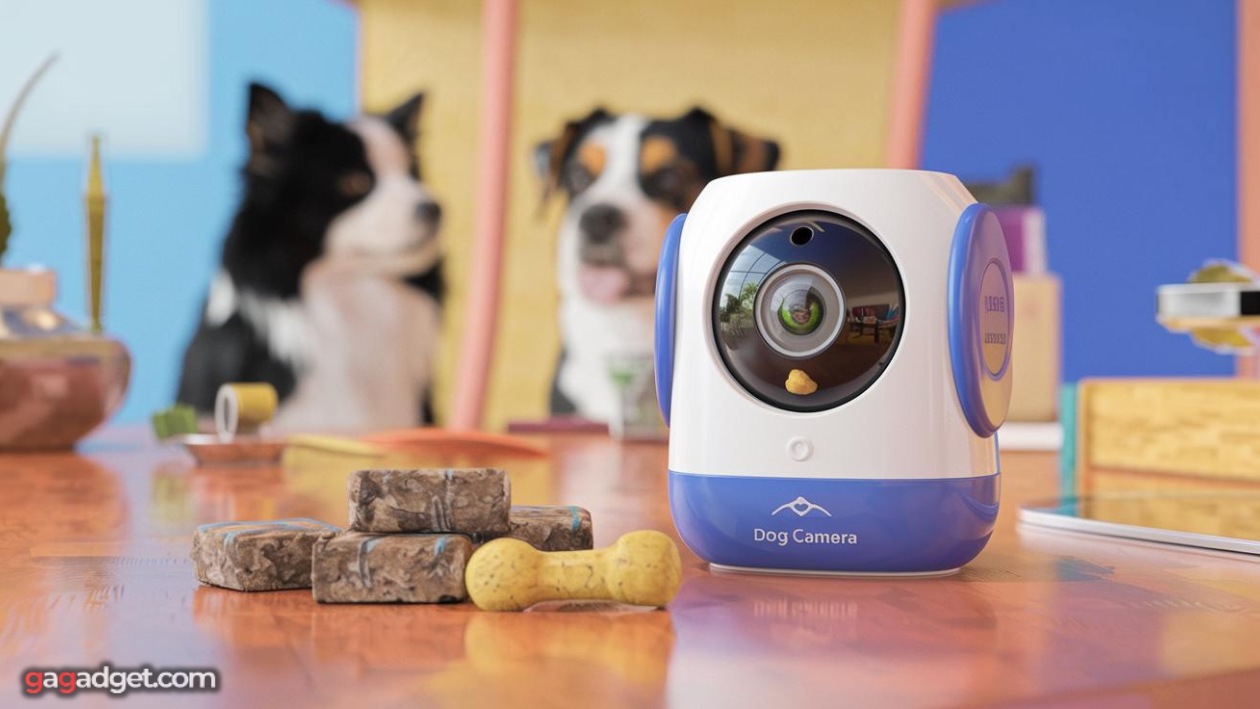 best dog camera 2026