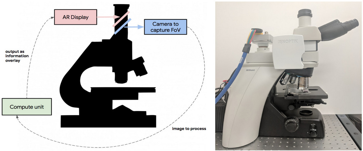 google-smart-ar-microscope-1.gif