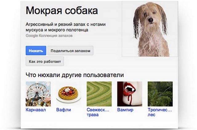 Google Nose: сервис передачи запахов онлайн (видео)