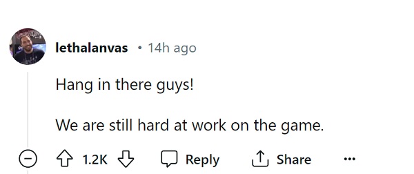 "Guys, hang in there!" - Hollow Knight: Silksong developers will continue to work on the game-2