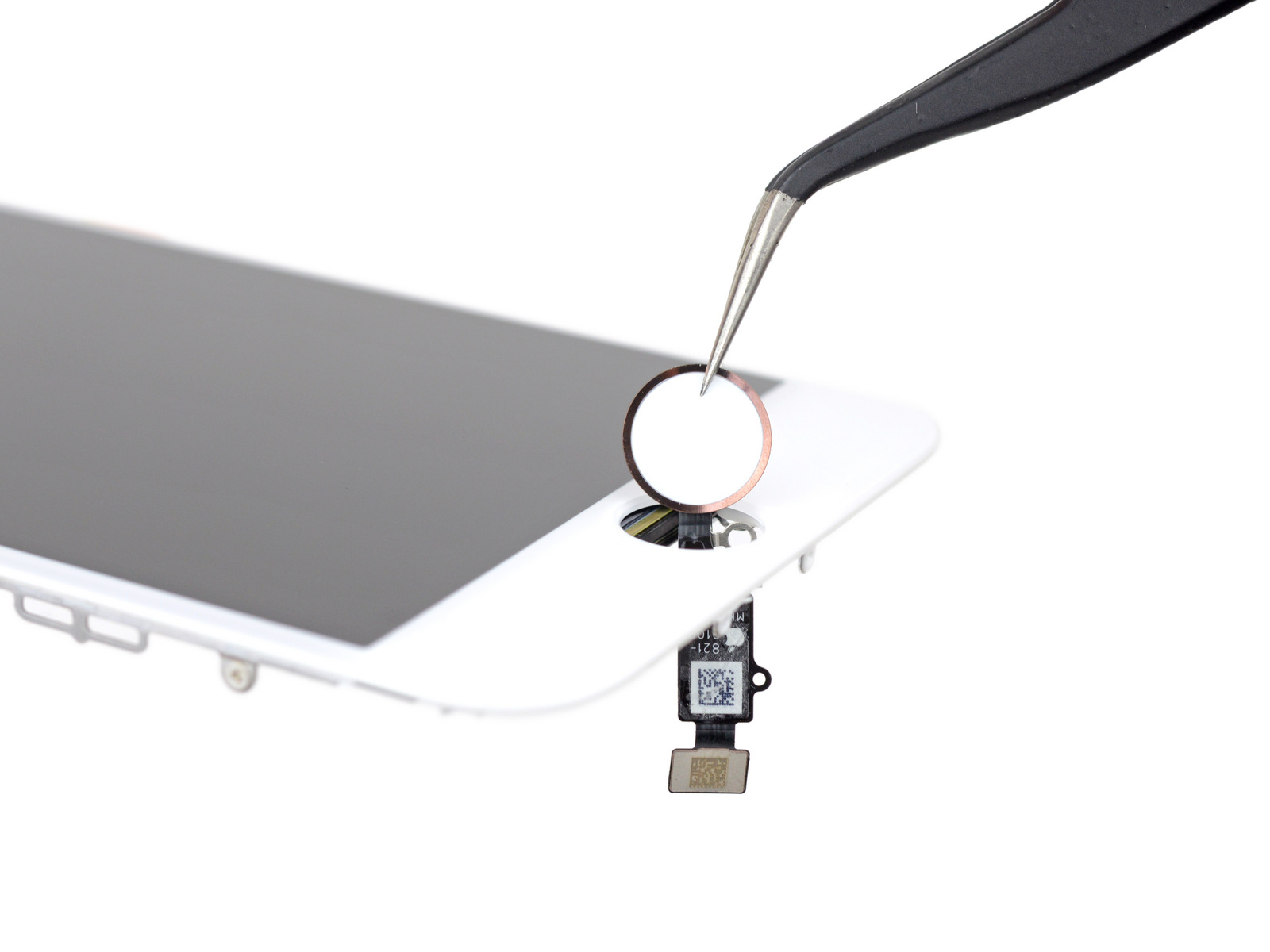iphone-ifixit-teardown-9.jpg