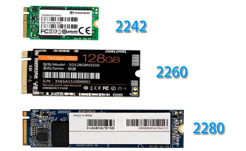 m-2-sizes.jpg
