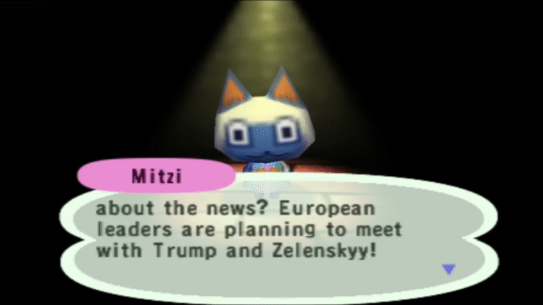 The cat is more aware of politics than some citizens. Illustration: still from the video
