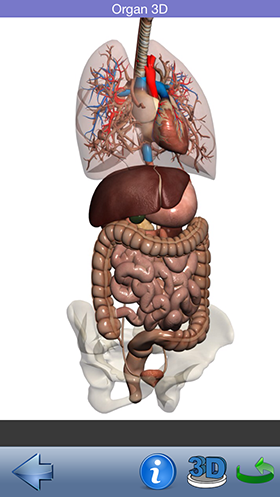 Скидки в App Store: aerofly FS, DataMan Next, Sky Live, Visual Anatomy.-12 Скидки в App Store: aerofly FS, DataMan Next, Sky Live, Visual Anatomy.-12