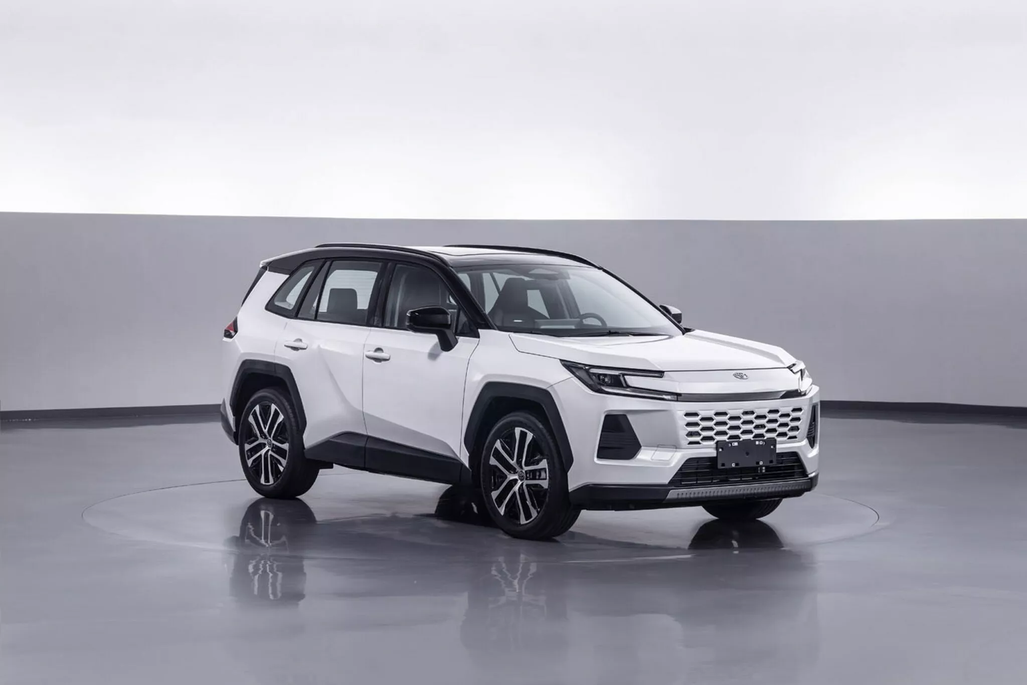 GAC Toyota Wildlander у кадрі
