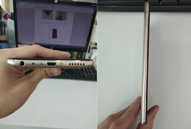 vivo1.JPG