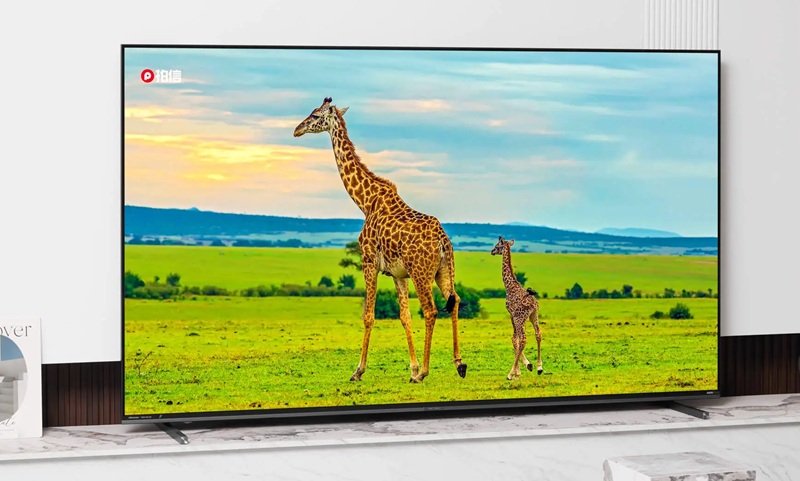 Линейка телевизоров Hisense E8S на стенде