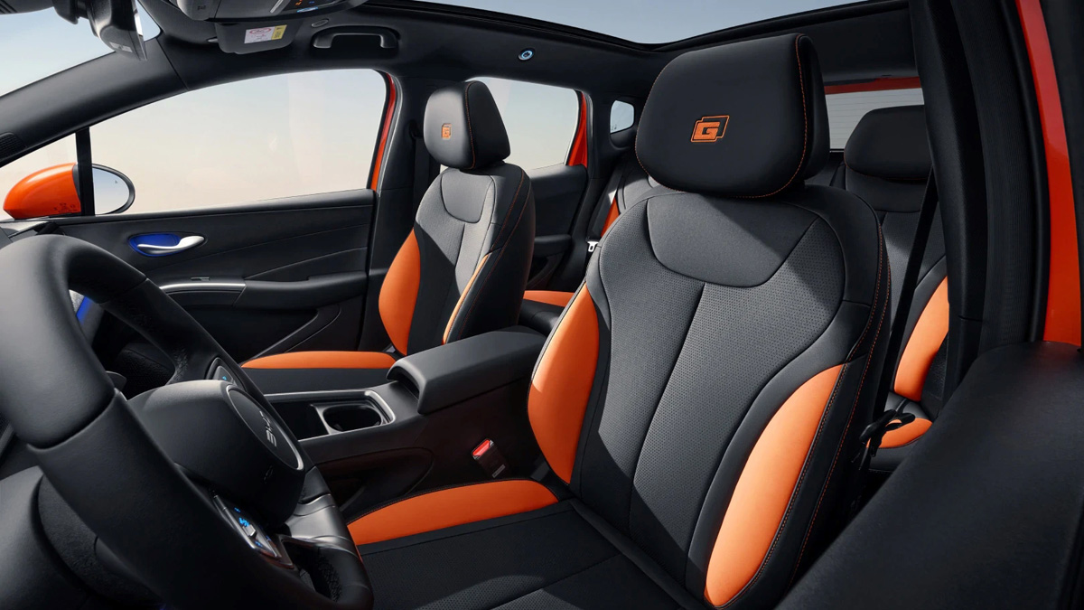 Салон BYD Dolphin G с мультимедийным экраном