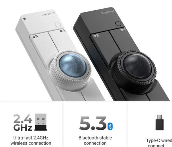 Les deux coloris disponibles : noir et blanc.