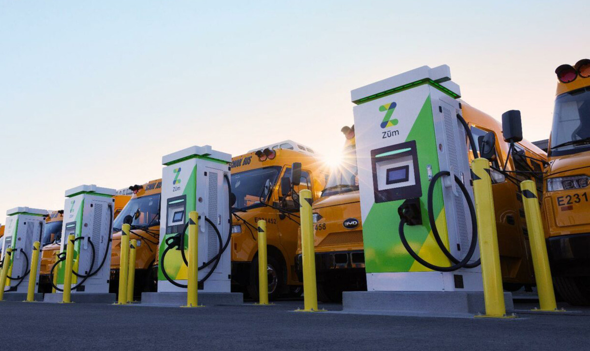 Electric school buses ready for V2G grid duty. Photo: Zum